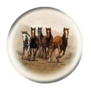 Horses Breakaway Ball