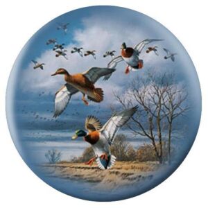 Mallards Wildlife